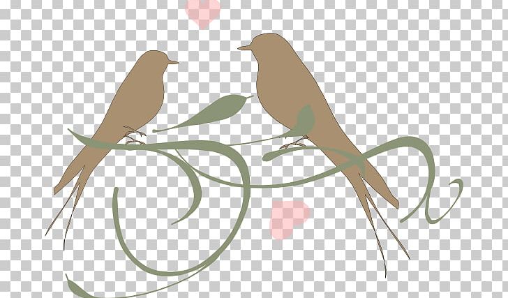 Lovebird Parrot PNG, Clipart, Art, Beak, Bird, Branch, Download Free PNG Download