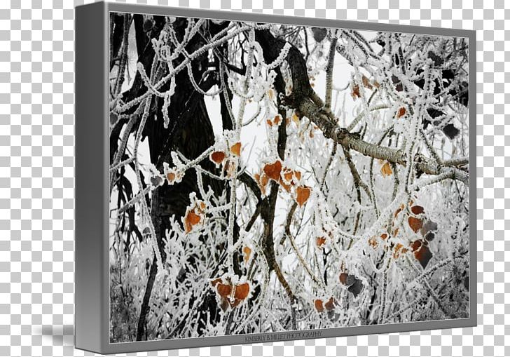 Painting Frames Branching PNG, Clipart, Art, Branch, Branching, Painting, Pearl Millet Free PNG Download