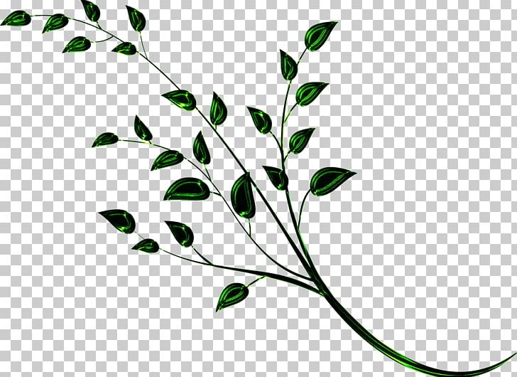 Branch Plant Stem Tree Twig Leaf PNG, Clipart, Branch, Branches, Flora, Flower, Grass Free PNG Download