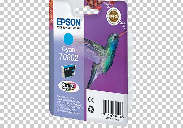 Ink Cartridge Epson Hewlett-Packard Inkjet Printing PNG, Clipart, Brands, Cartridge World, Color, Cyan, Epson Free PNG Download