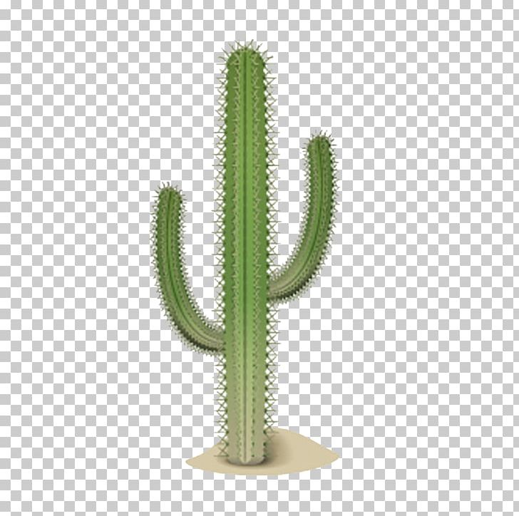 Cactaceae Google S Desert PNG, Clipart, Cactaceae, Cactus, Cactus Cartoon, Cactus Flower, Cactus Vector Free PNG Download