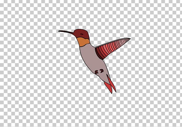 Hummingbird Wing Computer Icons PNG, Clipart, Animals, Beak, Bird, Computer Icons, Fauna Free PNG Download