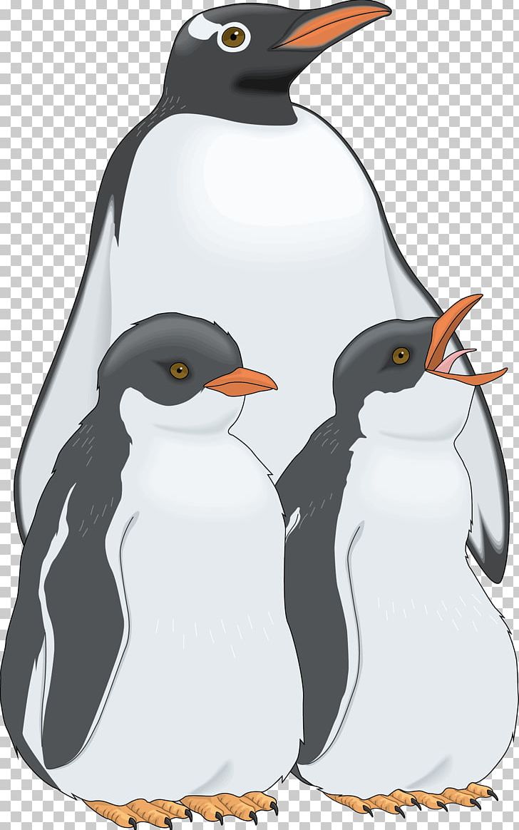 Penguin Bird PNG, Clipart, Animal, Animals, Animation, Arctic, Bird Free PNG Download