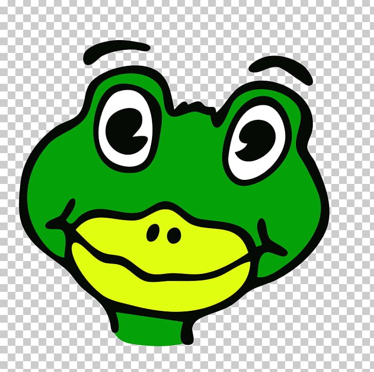 Toad Frog Drawing PNG, Clipart,  Free PNG Download