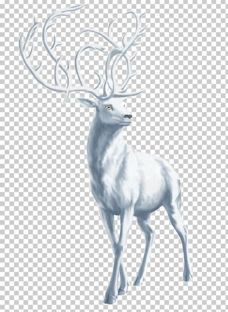 Red Deer Elk Reindeer Antler PNG, Clipart, Animal, Animals, Antler, Art, Black And White Free PNG Download