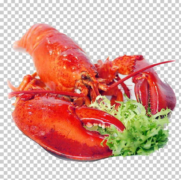 Seafood Chinese Cuisine American Lobster Palinurus Elephas PNG, Clipart, Animals, Animal Source Foods, Autumn Leaves, Banana Leaves, Crab Meat Free PNG Download