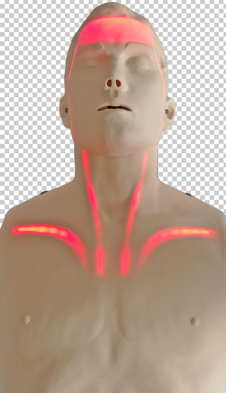 Transparent Anatomical Manikin Mannequin Automated External Defibrillators Cardiopulmonary Resuscitation First Aid Supplies PNG, Clipart, Ambu, Automated External Defibrillators, Bag Valve Mask, Basic Life Support, Bsi Free PNG Download