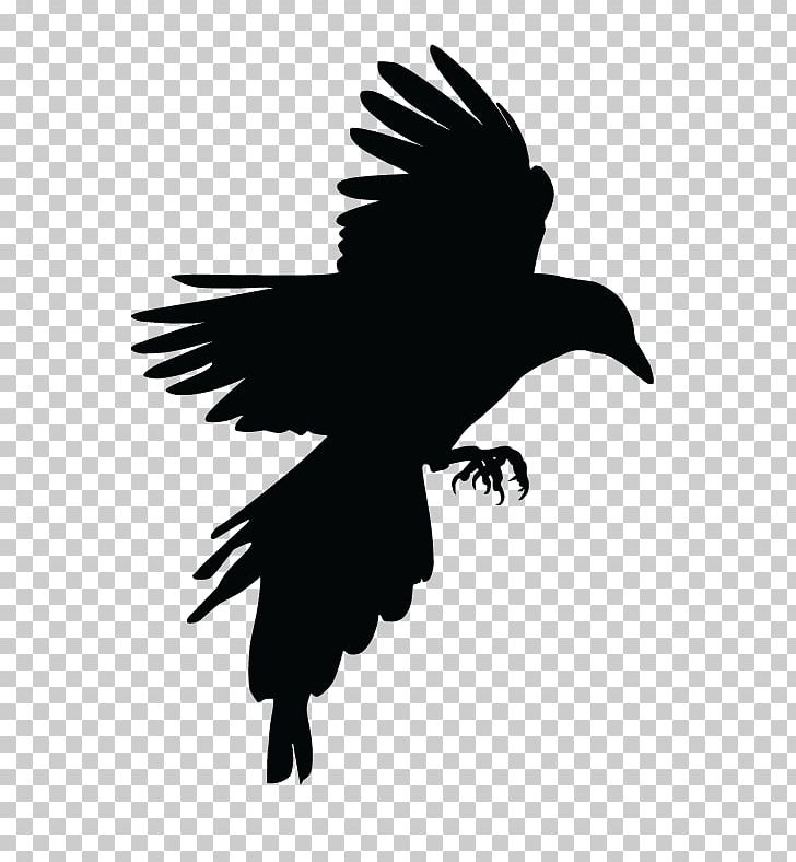Bird Crow Eurasian Magpie Tattoo PNG, Clipart, American Crow, Animals, Beak, Bird, Bird Of Prey Free PNG Download