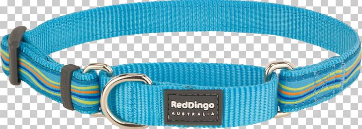 Dingo Dog Collar Martingale Poodle PNG, Clipart, Aqua, Blue, Collar, Dingo, Dog Free PNG Download