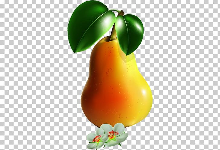 European Pear Drawing Cartoon PNG, Clipart, Apple, Auglis, Ballo, Cartoon, Cartoon Character Free PNG Download