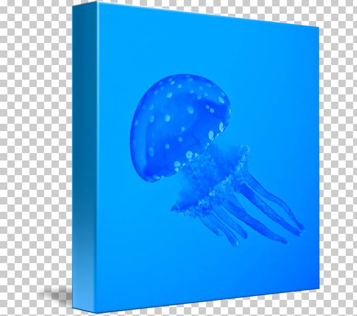 Jellyfish Font PNG, Clipart, Aqua, Blue, Blue Jellyfish, Cnidaria, Cobalt Blue Free PNG Download