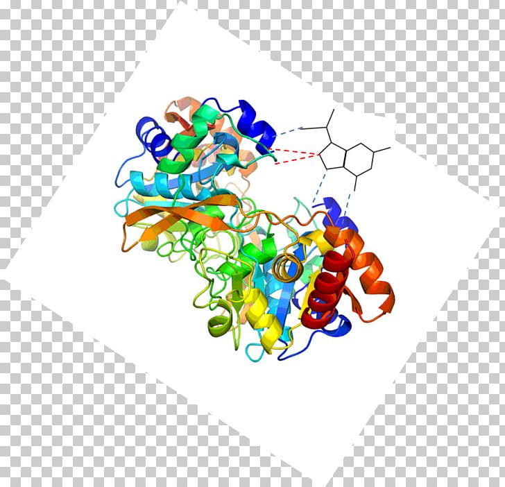 Protein Structure Line PNG, Clipart, Area, Art, Circle, Graphic Design, Ligand Free PNG Download