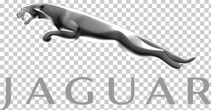 Jaguar Land Rover Jaguar Cars Rover Company PNG, Clipart, Angle, Auto Part, Black And White, Car, Carnivoran Free PNG Download