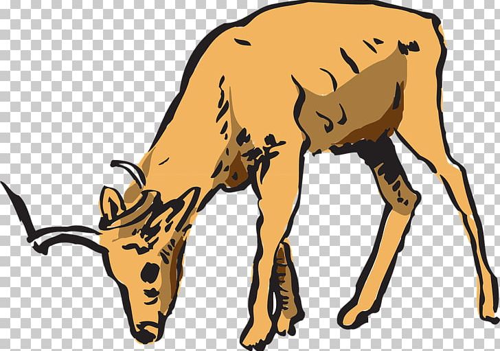 Deer Impala Antelope PNG, Clipart, Animals, Antelope, Antilop, Antler, Cattle Like Mammal Free PNG Download
