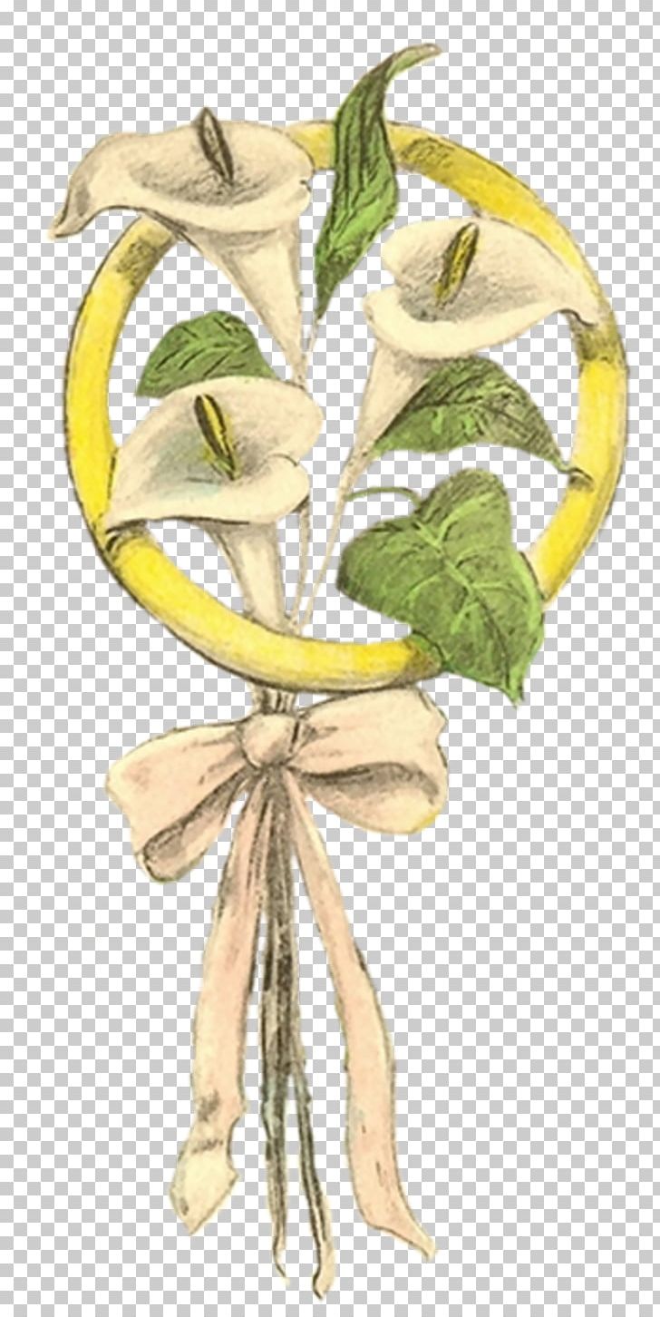 Illustration Plant Stem Flower Character Fruit PNG, Clipart, Character, Fiction, Fictional Character, Flower, Food Free PNG Download