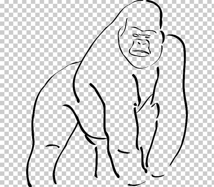 Baby Gorillas Drawing Cartoon PNG, Clipart, Animals, Ape, Arm, Art, Black Free PNG Download