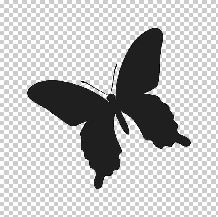 Wall Decal Home Apartment Saying PNG, Clipart, Apartment, Black, Brush Footed Butterfly, Butterfly, Ceiling Free PNG Download
