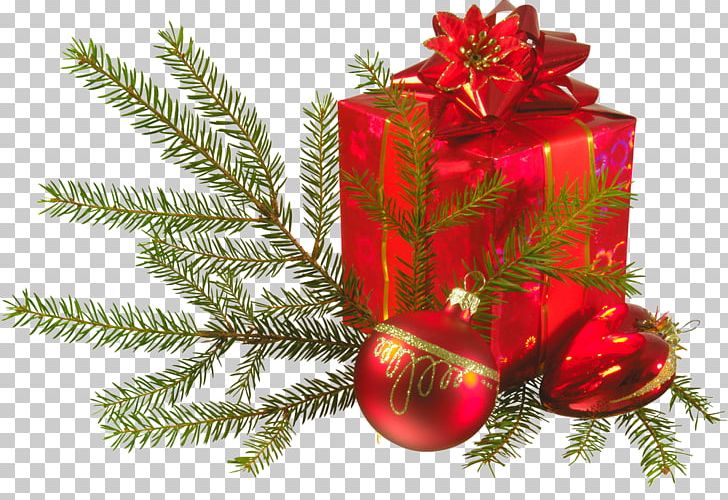 Christmas Ornament Christmas Gift-bringer Santa Claus PNG, Clipart,  Free PNG Download