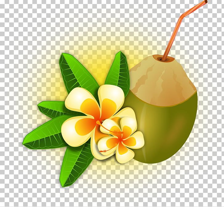 Cocktail Smoothie Coconut Water PNG, Clipart, Aloha, Clip Art, Cocktail, Coconut, Coconut Water Free PNG Download