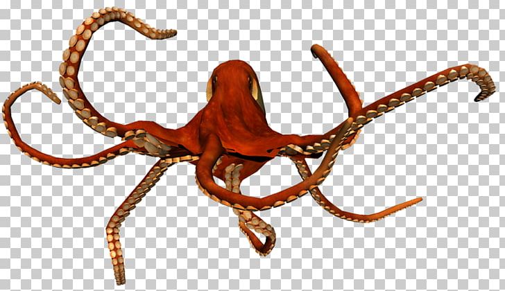 Octopus Insect Cephalopod Terrestrial Animal Pest PNG, Clipart, Animal, Animal Figure, Animals, Cephalopod, Fish Free PNG Download