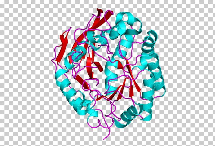 CAD Protein Carbamoyl Phosphate Synthase II Dihydroorotase Enzyme PNG, Clipart, Amino Acid, Area, Art, Biochemistry, Biosynthesis Free PNG Download