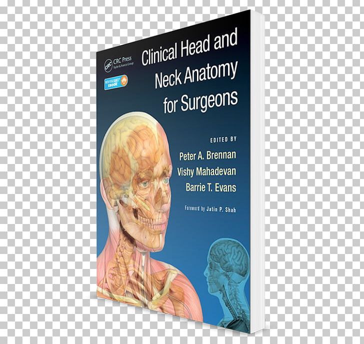 Neuroanatomy Through Clinical Cases Head And Neck Anatomy Surgery Human Body PNG, Clipart, Anatomy, Atlas, Cervical Vertebrae, Head, Head And Neck Anatomy Free PNG Download