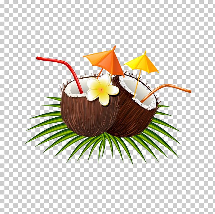 Coconut Euclidean PNG, Clipart, Adobe Illustrator, Coconut, Coconut Leaf, Coconut Leaves, Coconut Milk Free PNG Download