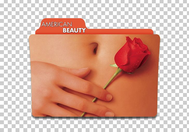 Lester Burnham Film Director Screenwriter Film Producer PNG, Clipart, Alan Ball, American Beauty, Annette Bening, Billy Crystal, Chris Cooper Free PNG Download