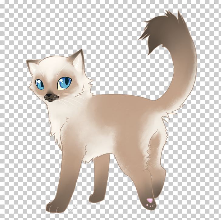 Ragdoll Siamese Cat Sphynx Cat Kitten Maine Coon PNG, Clipart, Animals, Balinese, Black Cat, Burmese, Calico Cat Free PNG Download