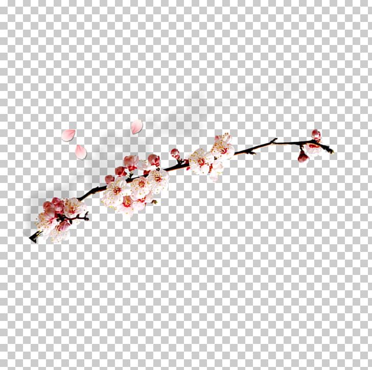Computer File PNG, Clipart, Branch, Branches, Cherry Blossom, Computer File, Download Free PNG Download