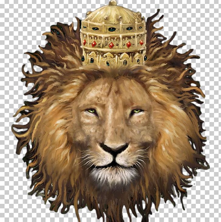 Lion Reggae On The River Humboldt County PNG, Clipart, Animals, Big Cats, Carnivoran, Cat Like Mammal, Concert Free PNG Download