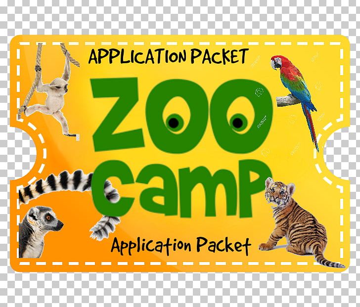Dade City's Wild Things Animal Zoo Camp Nature PNG, Clipart,  Free PNG Download