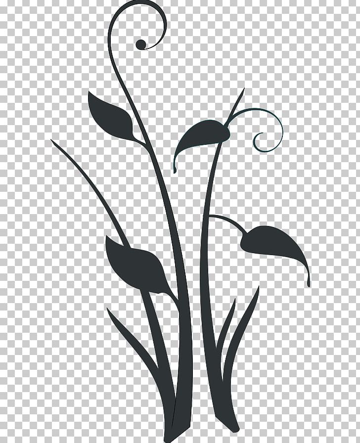 Decorative Borders Borders And Frames Plant PNG, Clipart, Artwork, Beak, Black And White, Borders And Frames, Branch Free PNG Download