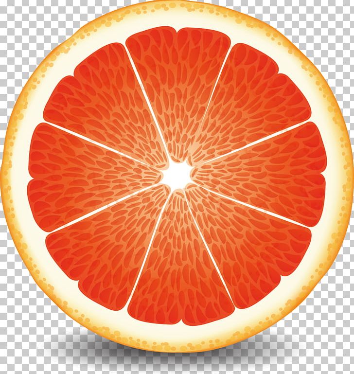 Grapefruit Juice Blood Orange Pomelo PNG, Clipart, Blo, Cartoon, Citric Acid, Citrus, Drawing Free PNG Download