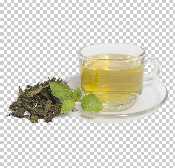 Oolong Chiang Mai Green Tea Earl Grey Tea PNG, Clipart, Assam Tea, Chiang Mai, Chiang Mai Province, Cup, Dandelion Free PNG Download