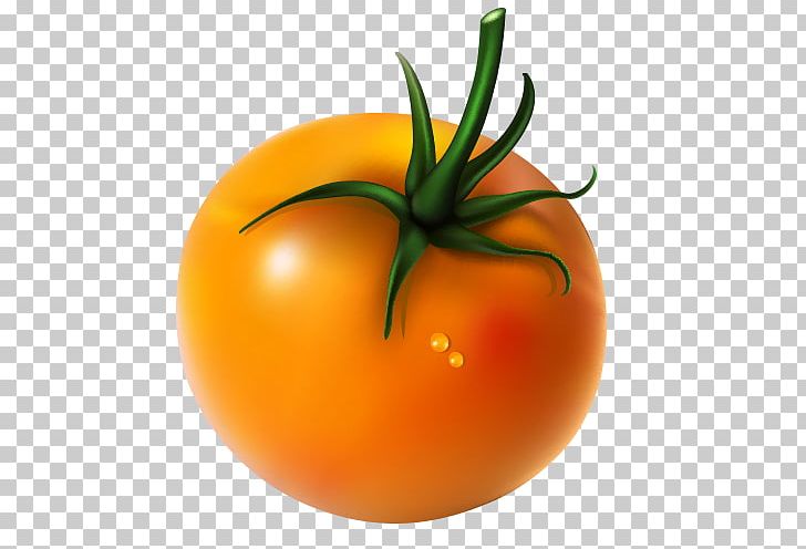 Plum Tomato Bush Tomato PNG, Clipart, Bush Tomato, Cartoon, Diet Food, Download, Euclidean Free PNG Download