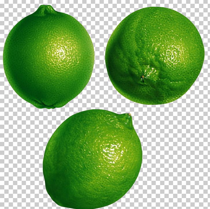 Persian Lime Orange Juice Key Lime Lemon PNG, Clipart, Auglis, Calamondin, Citrus, Food, Free Logo Design Template Free PNG Download
