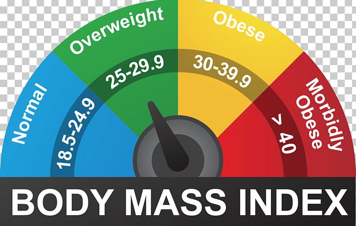 Body Mass Index Human Body Weight Adipose Tissue Stock Photography Weight And Height Percentile PNG, Clipart, Adipose Tissue, Bmi, Body, Body Mass Index, Brand Free PNG Download