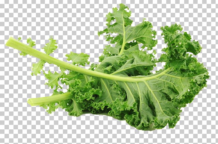 Lacinato Kale Leaf Vegetable Salad Brussels Sprout PNG, Clipart, Cabbage, Cauliflower, Creative Ads, Creative Artwork, Creative Background Free PNG Download