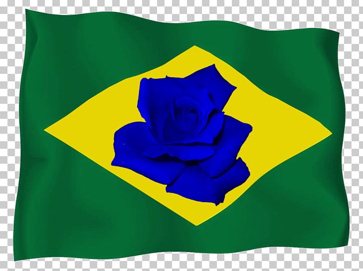 Flag Of Brazil Bible PNG, Clipart, 03120, Bandeira Do Brasil, Bible, Brazil, Flag Free PNG Download