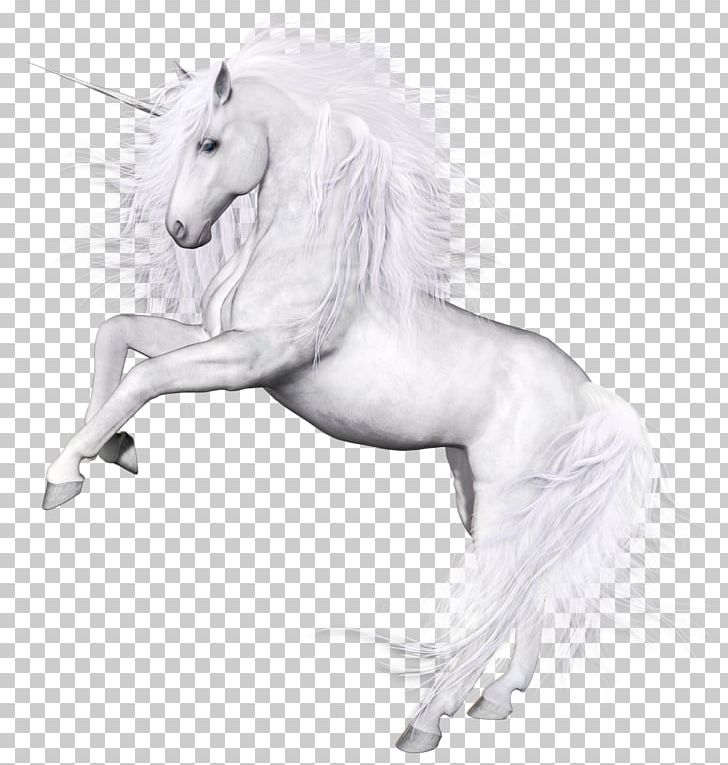 Horse Unicorn PNG, Clipart, Adobe Illustrator, Animal, Animals, Black And White, Computer Icons Free PNG Download
