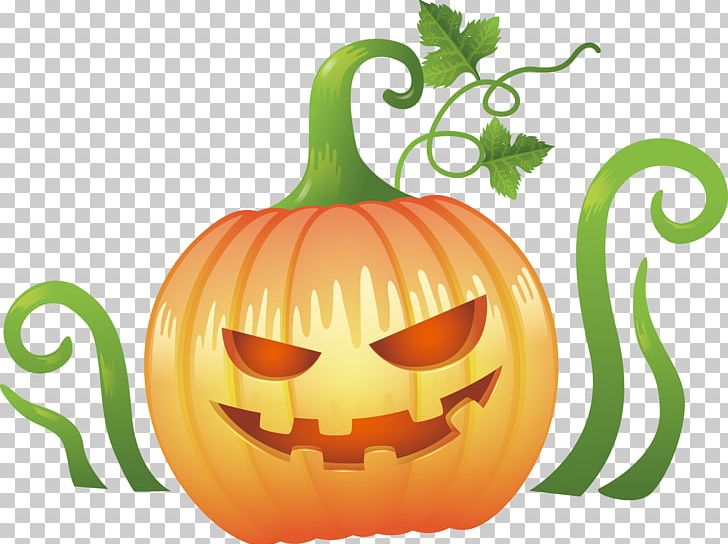 Jack-o-lantern Calabaza Gourd Pumpkin PNG, Clipart, Cucumber Gourd And Melon Family, Food, Fruit, Gourd, Happy Birthday Vector Images Free PNG Download