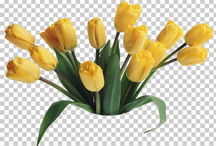 Mother's Day Tulip Flower Bouquet Happiness PNG, Clipart, Anniversary, Birthday, Bud, Crocus, Cut Flowers Free PNG Download