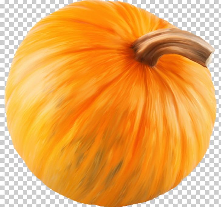 Pumpkin Calabaza Winter Squash Gourd PNG, Clipart, Calabaza, Commodity, Cucumber Gourd And Melon Family, Cucurbita, Fruit Free PNG Download