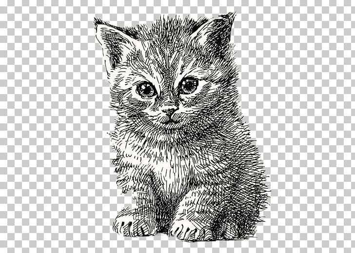Cat Kitten Puppy Line Art PNG, Clipart, Carnivoran, Cartoon, Cartoon Eyes, Cat Like Mammal, Cuteness Free PNG Download