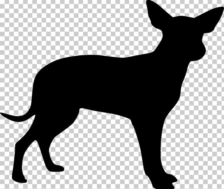 Mexican Hairless Dog Chihuahua Drawing PNG, Clipart, Animals, Black, Black And White, Carnivoran, Chihuahua Free PNG Download