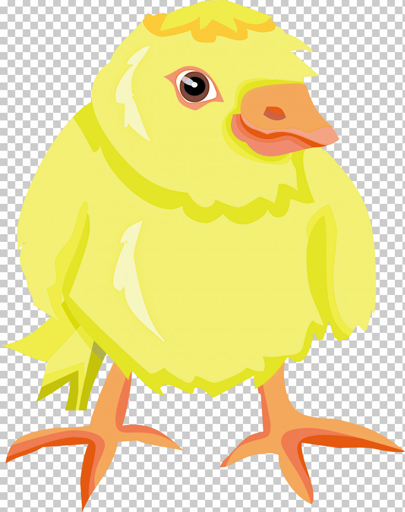 Baby Chicken PNG, Clipart, Baby Chicken, Beak, Bird, Parrot, Yellow Free PNG Download