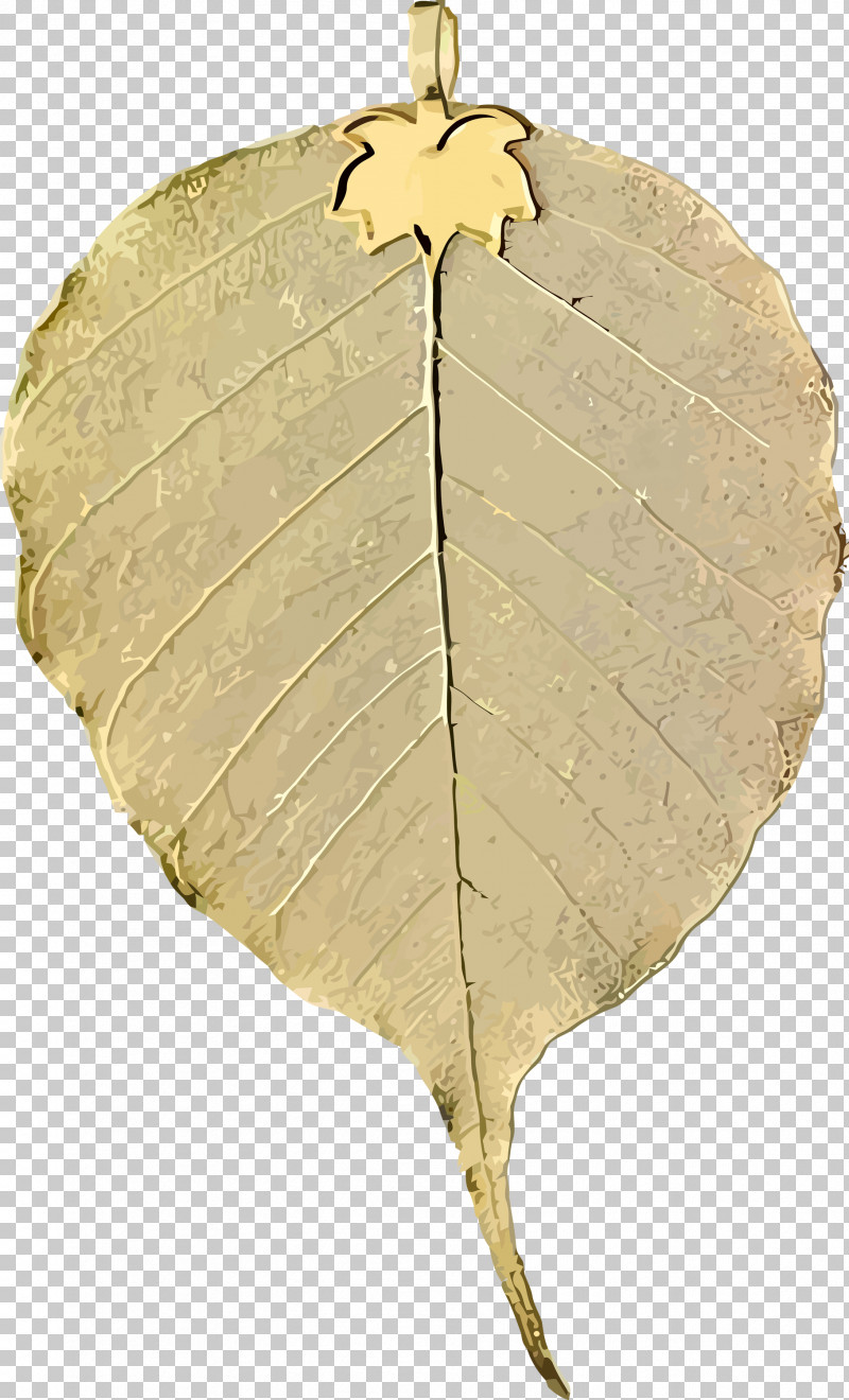 Bodhi Leaf Bodhi Day Bodhi PNG, Clipart, Anthurium, Bodhi, Bodhi Day, Bodhi Leaf, Canoe Birch Free PNG Download