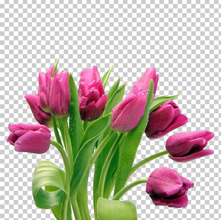 Tulip Desktop Flower Bouquet PNG, Clipart, Cut Flowers, Desktop Wallpaper, Floral Design, Floristry, Flower Free PNG Download