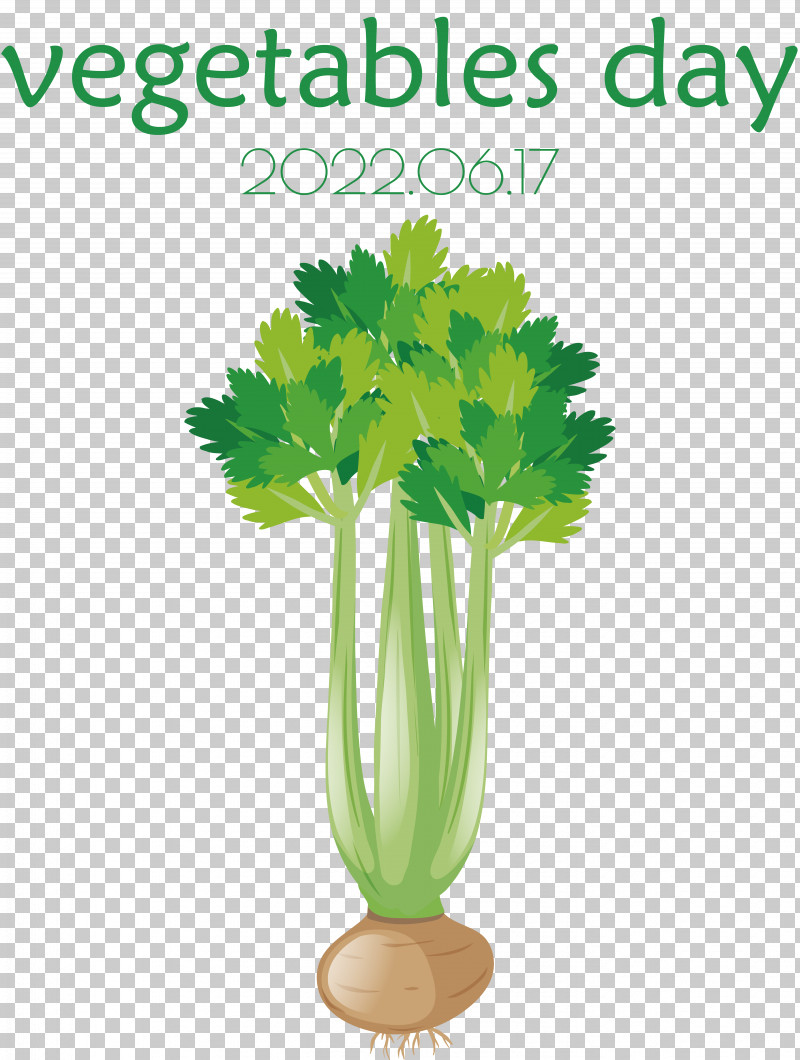 Cauliflower PNG, Clipart, Beetroot, Carrot, Cauliflower, Celery, Leaf Vegetable Free PNG Download